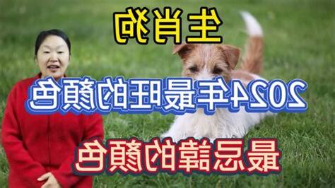 2023 狗 顏色